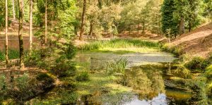 concello-de-tui-turismo-aloia (8)